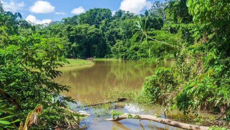MADIDI