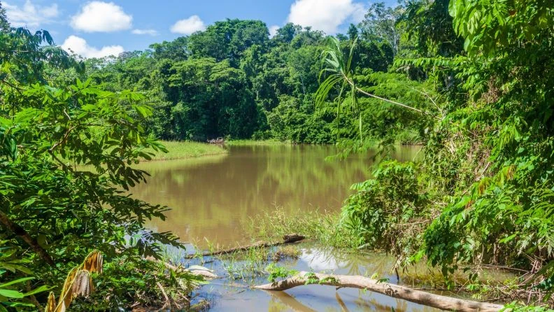 MADIDI