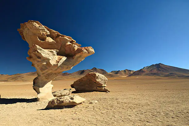arbol de piedra