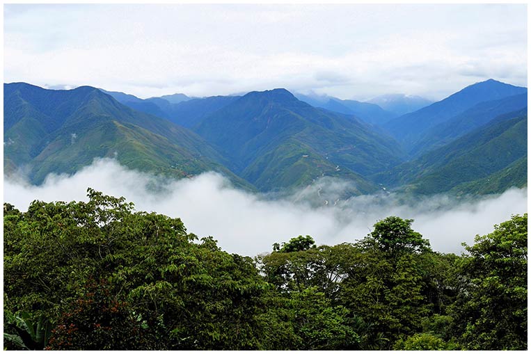 Coroico – Ingreso a la Selva Boliviana