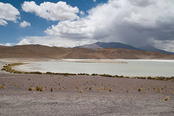 laguna blanca