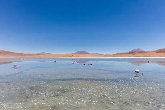 laguna cañapa