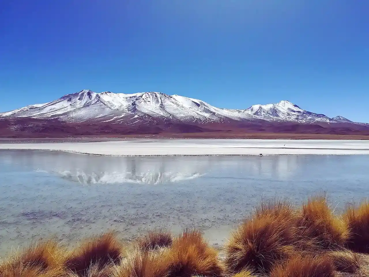 Laguna Cañapa