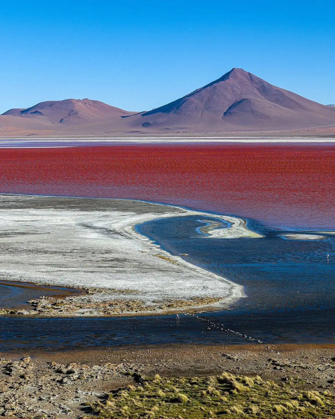 Laguna-Colorada-2_uyuniviajes