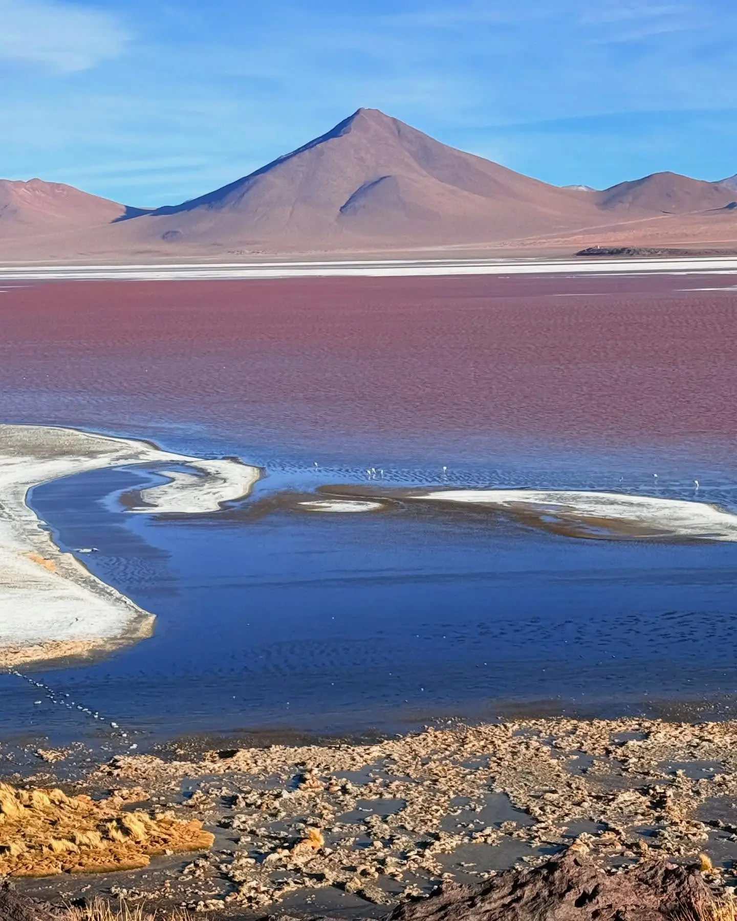 laguna-colorada_uyuniviajes (1)