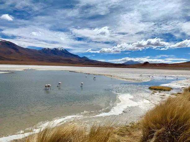 laguna hedionda 1