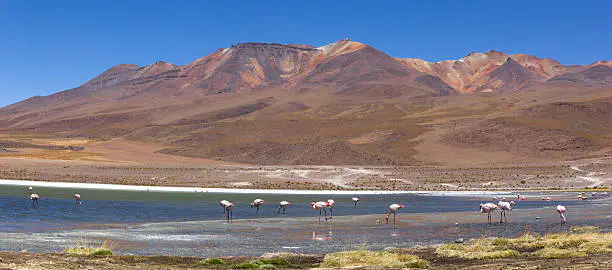 LAGUNA HEDIONDA