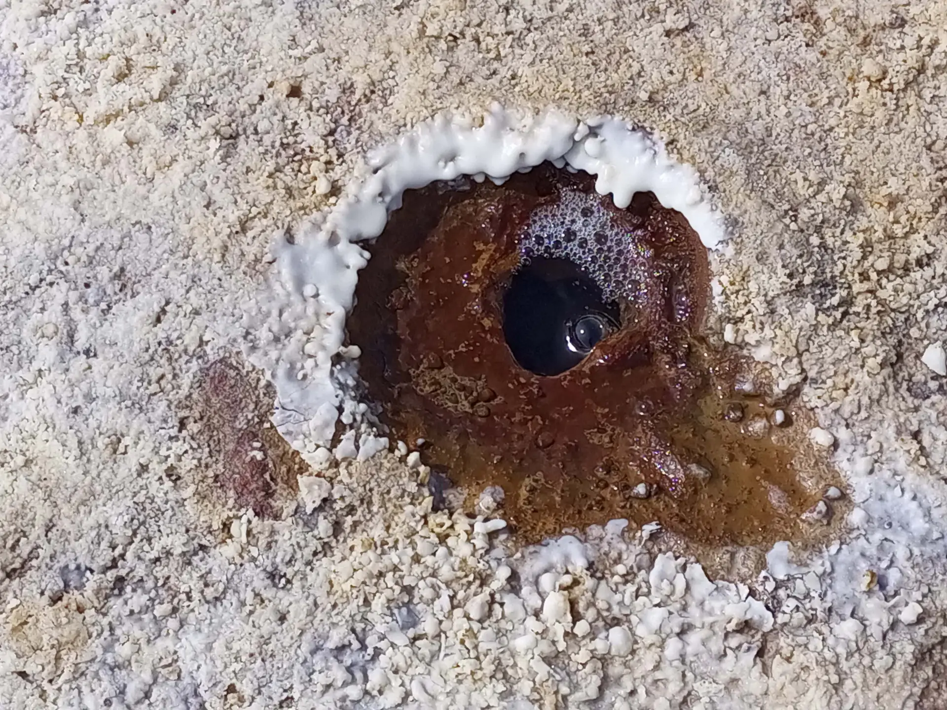 ojos de sal