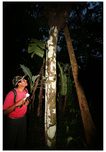 TOURS-MADIDI