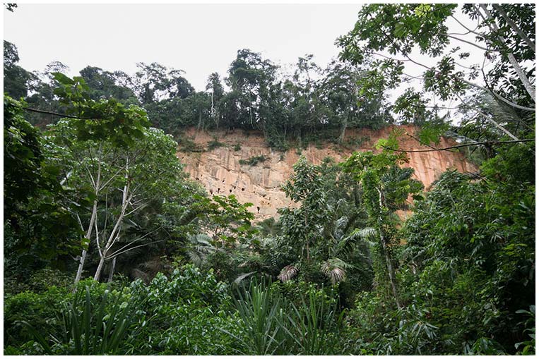 madidi-bolivia