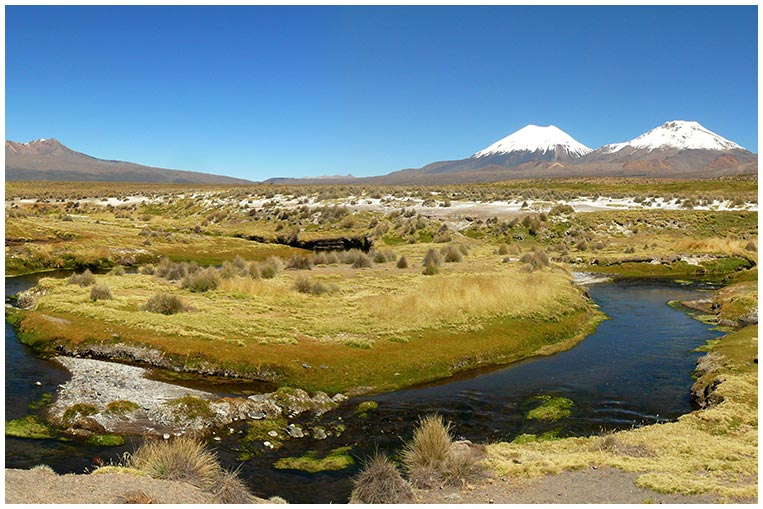 Parque Nacional Sajama