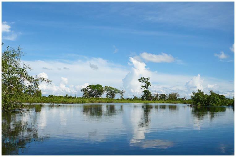 pampas-del-yacuma-bolivia