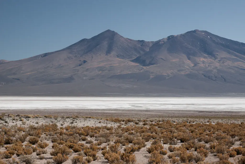salar de chiguana