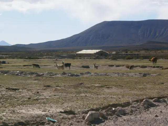 san juan Uyuni 1