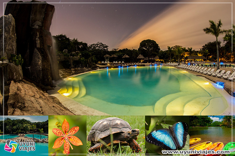 Guembe-Biocentro-en-Santa-Cruz-de-a-Sierra-Bolivia