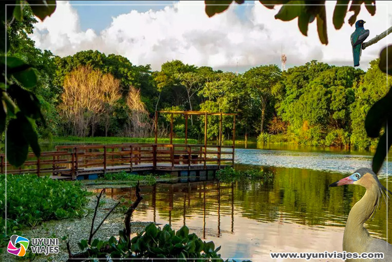 Jardin-Botanico-de-Santa-Cruz-de-la-Sierra-Bolivia