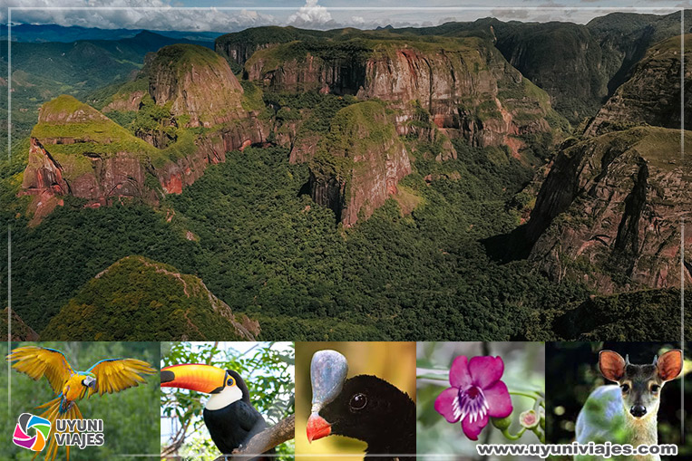 Parque-Nacional-Amboró-Bolivia