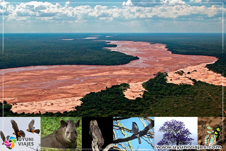 Parque-Nacional-Kaa-Iya-del-Gran-Chaco-Santa-Cruz-de-la-Sierra-Bolivia