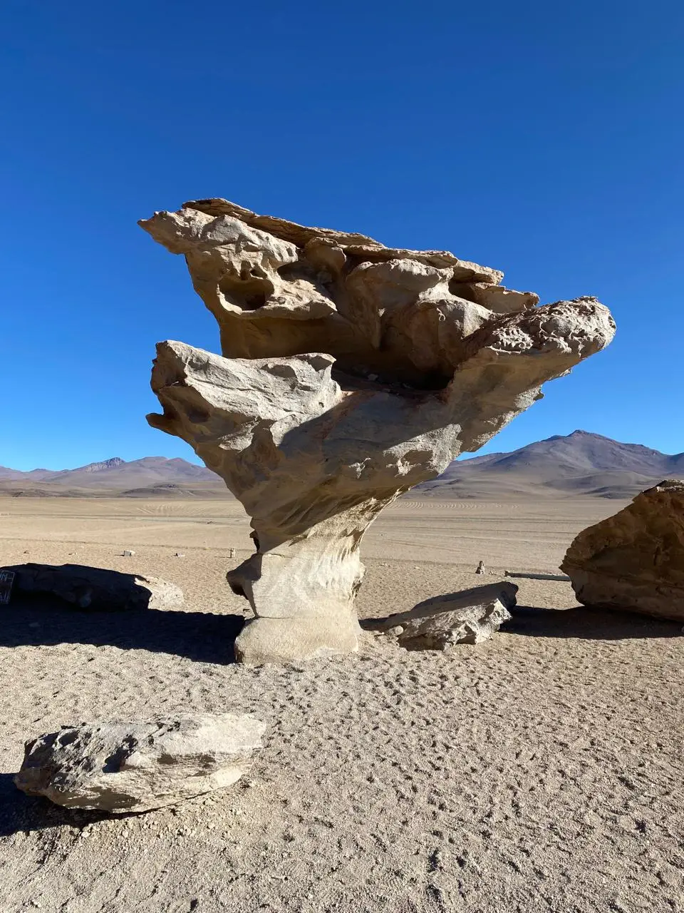 Árbol de Piedra: La Escultura Natural Más Famosa del Desierto Siloli.