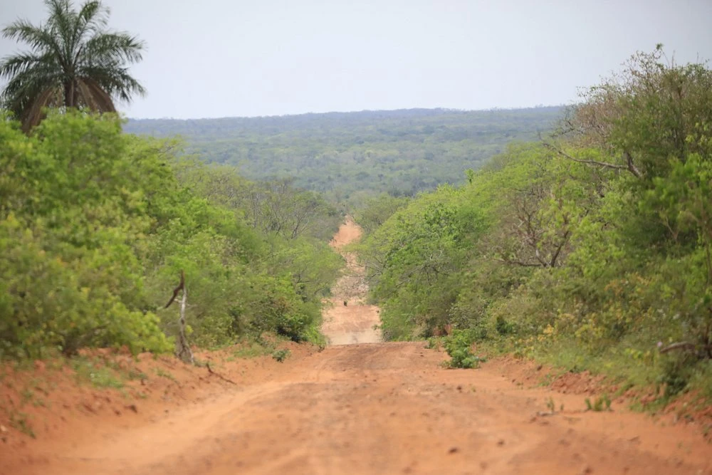 Foto de galeria 2