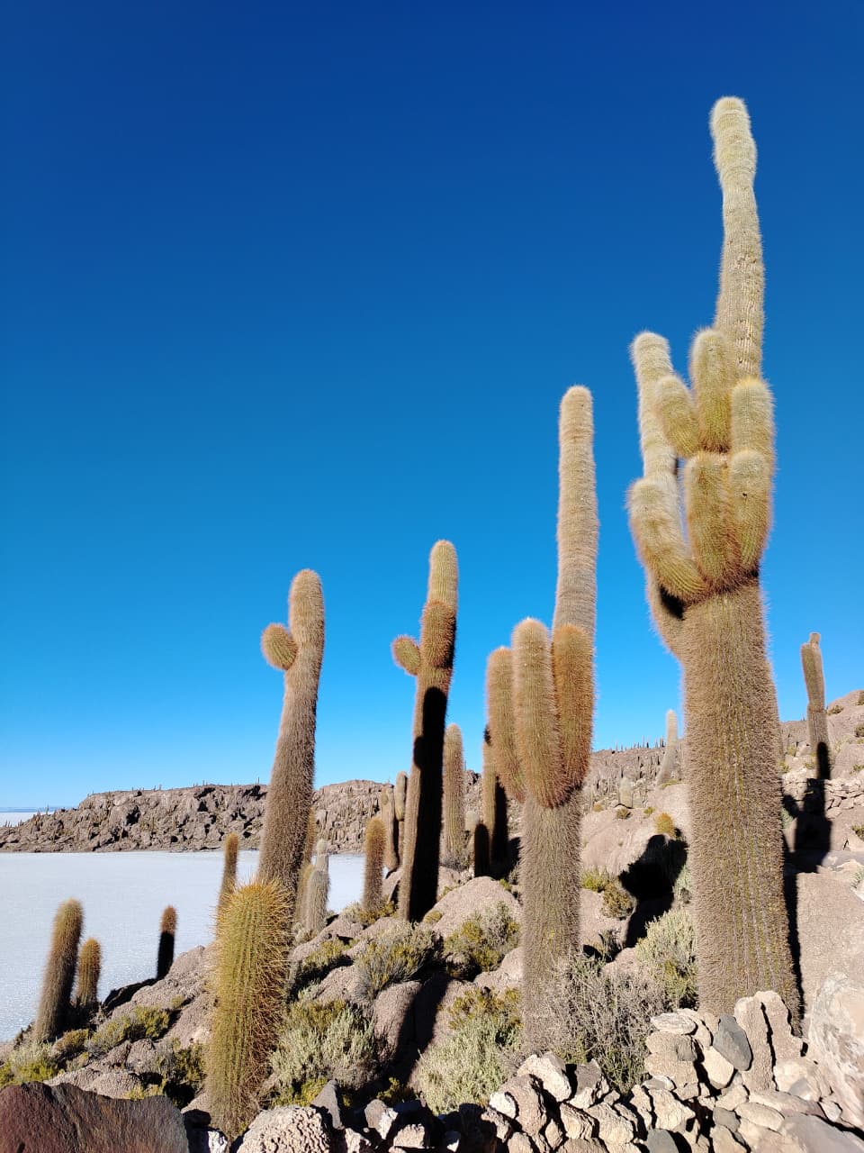 Salar de Uyuni