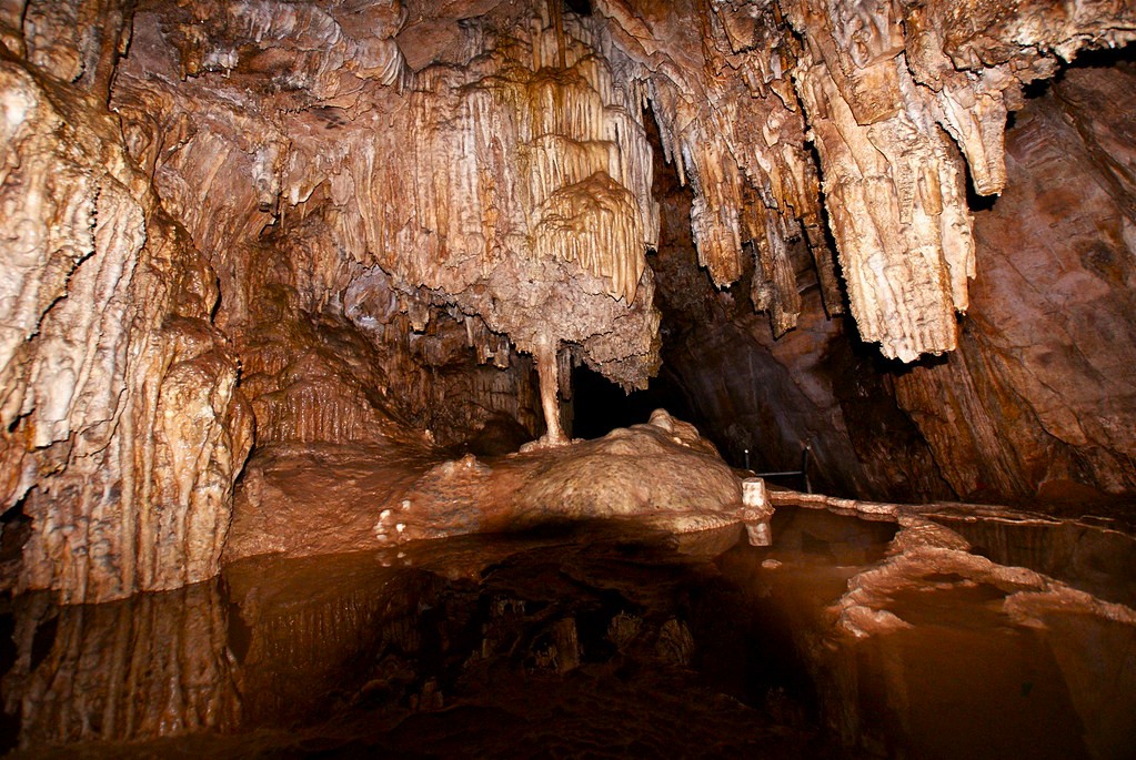Foto de galeria 3