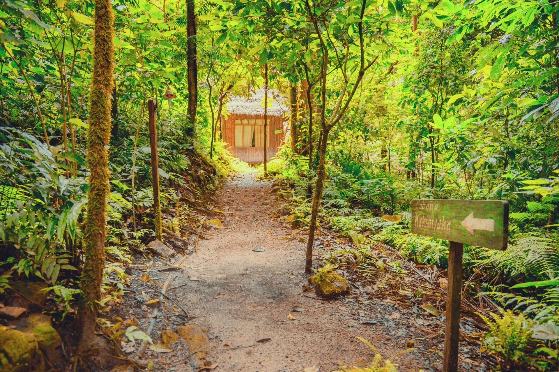 Foto de galeria 3