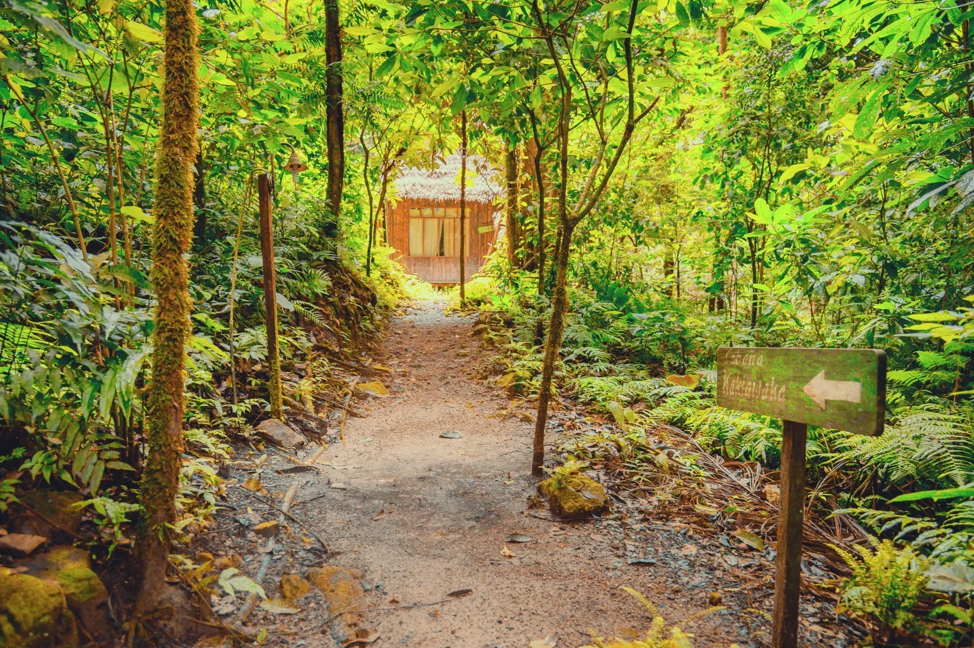 TOUR MADIDI 4 DÍAS