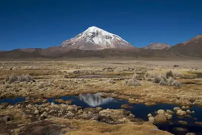TOUR SAJAMA 1 DÍA