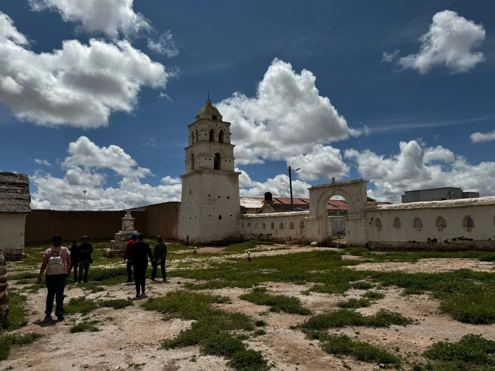 Tour Sajama Full Day 🏔️ From The Paz | Uyuni Viajes