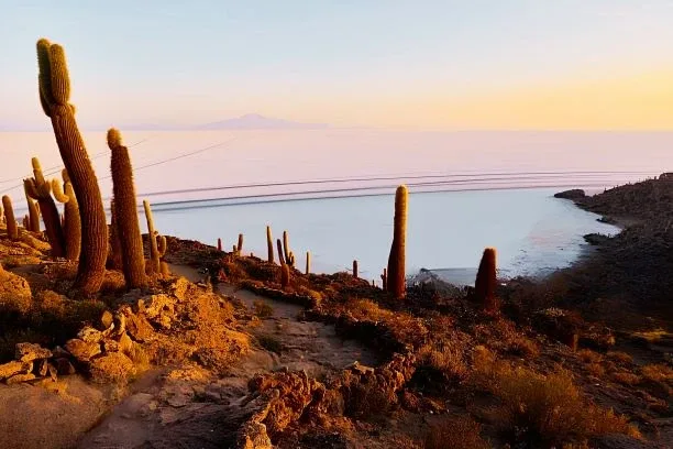 TOUR SALAR DE UYUNI 