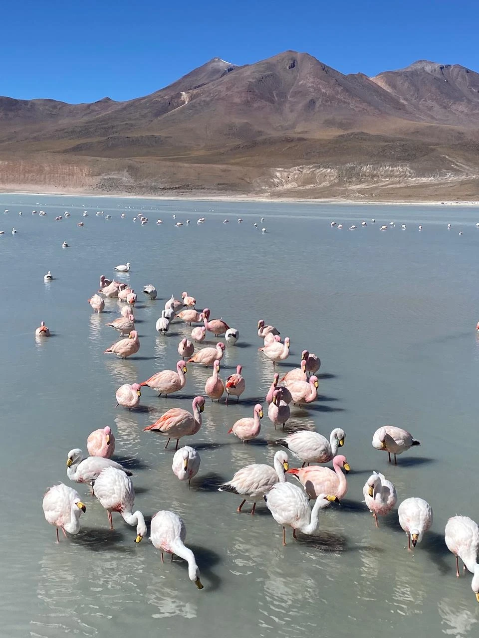 UYUNI 3 DIAS 