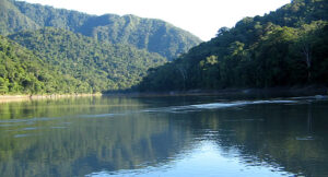 MADIDI NATIONAL PARK FULL DAY